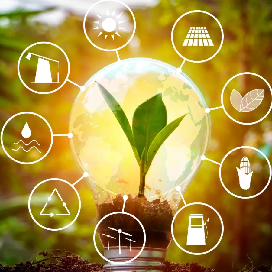 ENTI IMPULSARÁ “NEARSHORING VERDE” CON PLATAFORMA TECNOLÓGICA